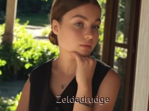 Zeldadrudge
