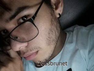 Zeusbrunet