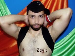 Zevit